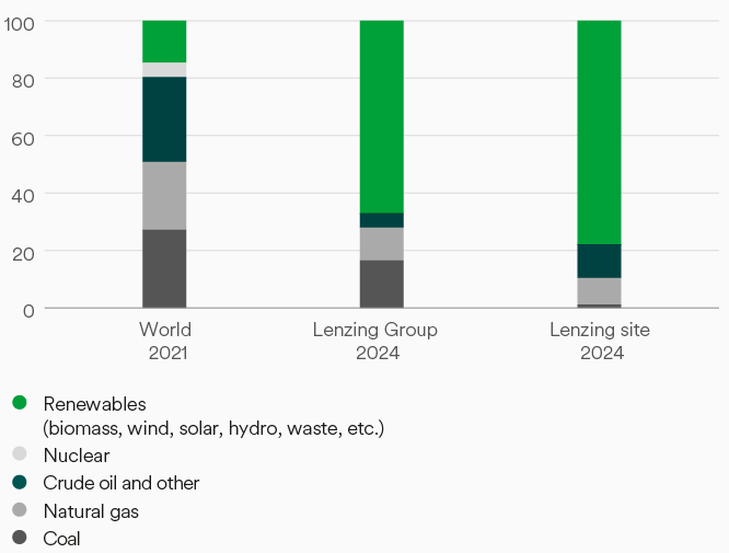 Energy sources of the world, Lenzing Group and Lenzing site (bar chart)