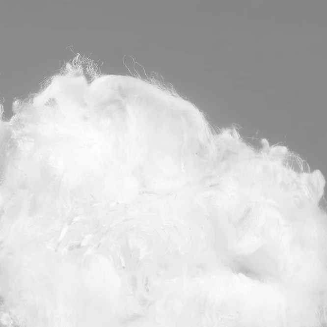 Mass of white fibers on a gray background (Photo)