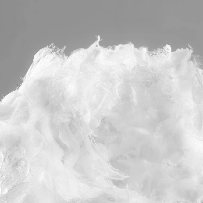 Mass of white fibers on a gray background (Photo)