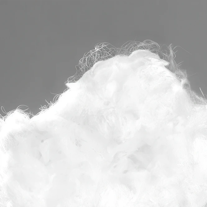 Mass of white fibers on a gray background (Photo)