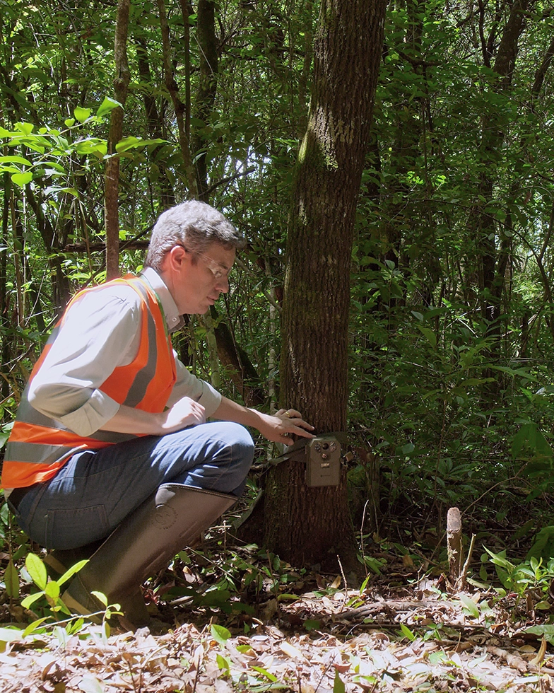 Person in workwear collecting data on a tree in the forest (Photo)