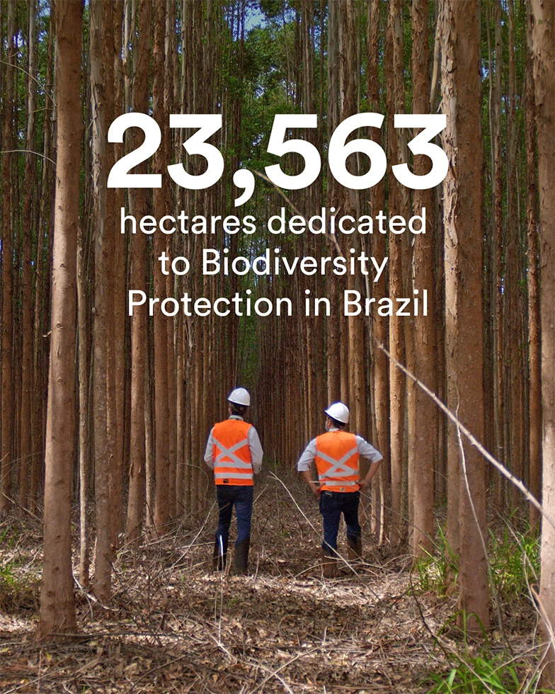 Two people in workwear observing trees in the forest (Photo)
