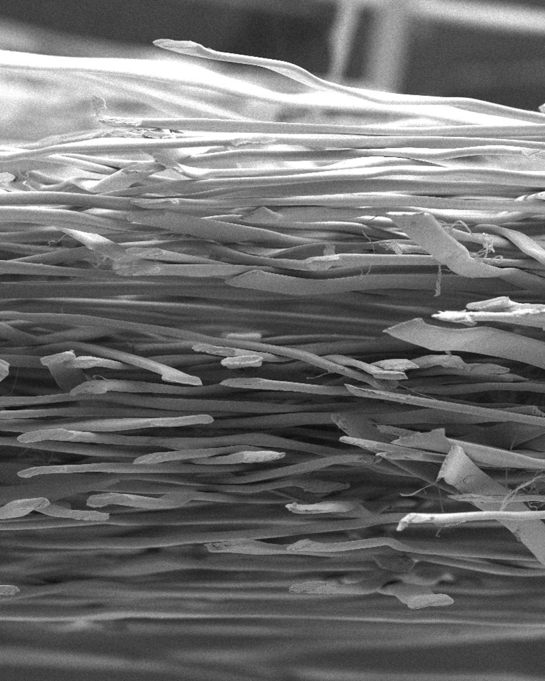 Gray Lyocell fibers (Photo)