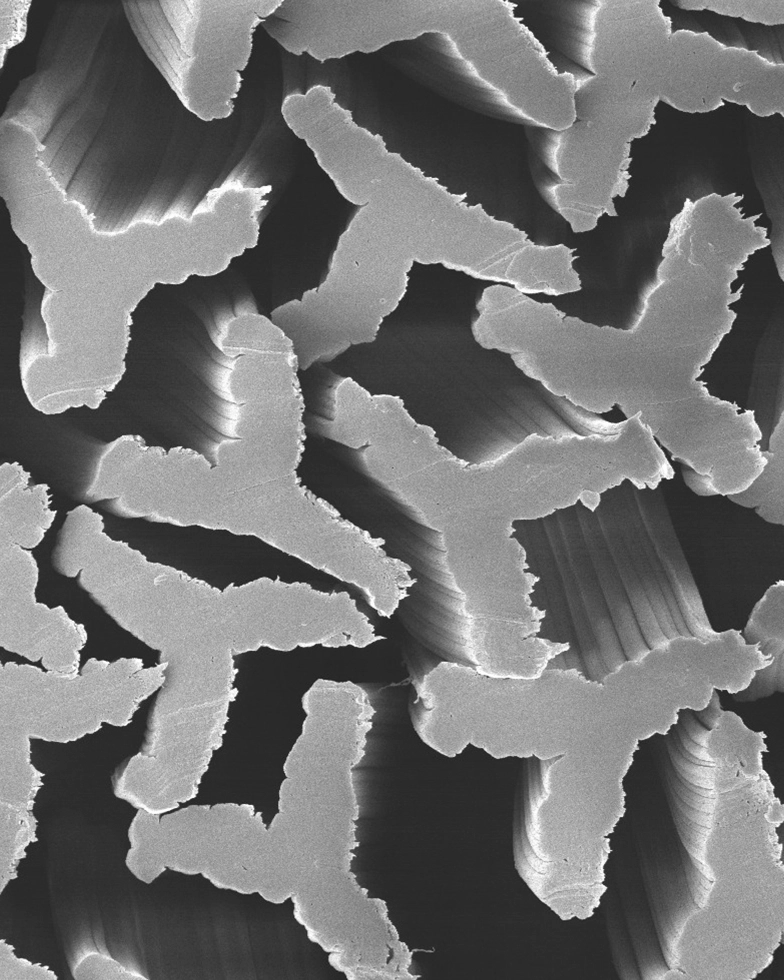 Gray section of a tampon (Photo)