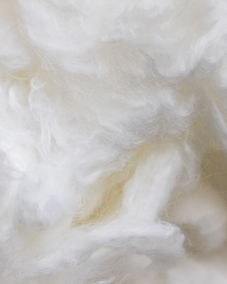 White fibers (Photo)