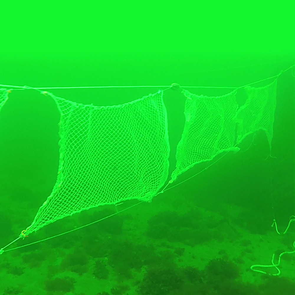 Fishing nets made with Lenzing lyocell fibers significantly reduce plastic pollution in the ocean. (photo)