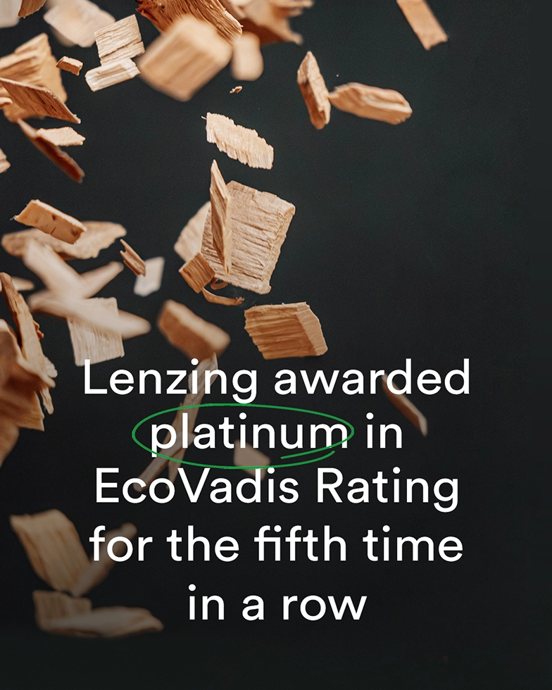  Holzsplitter als Hintergrund von Text (Foto)