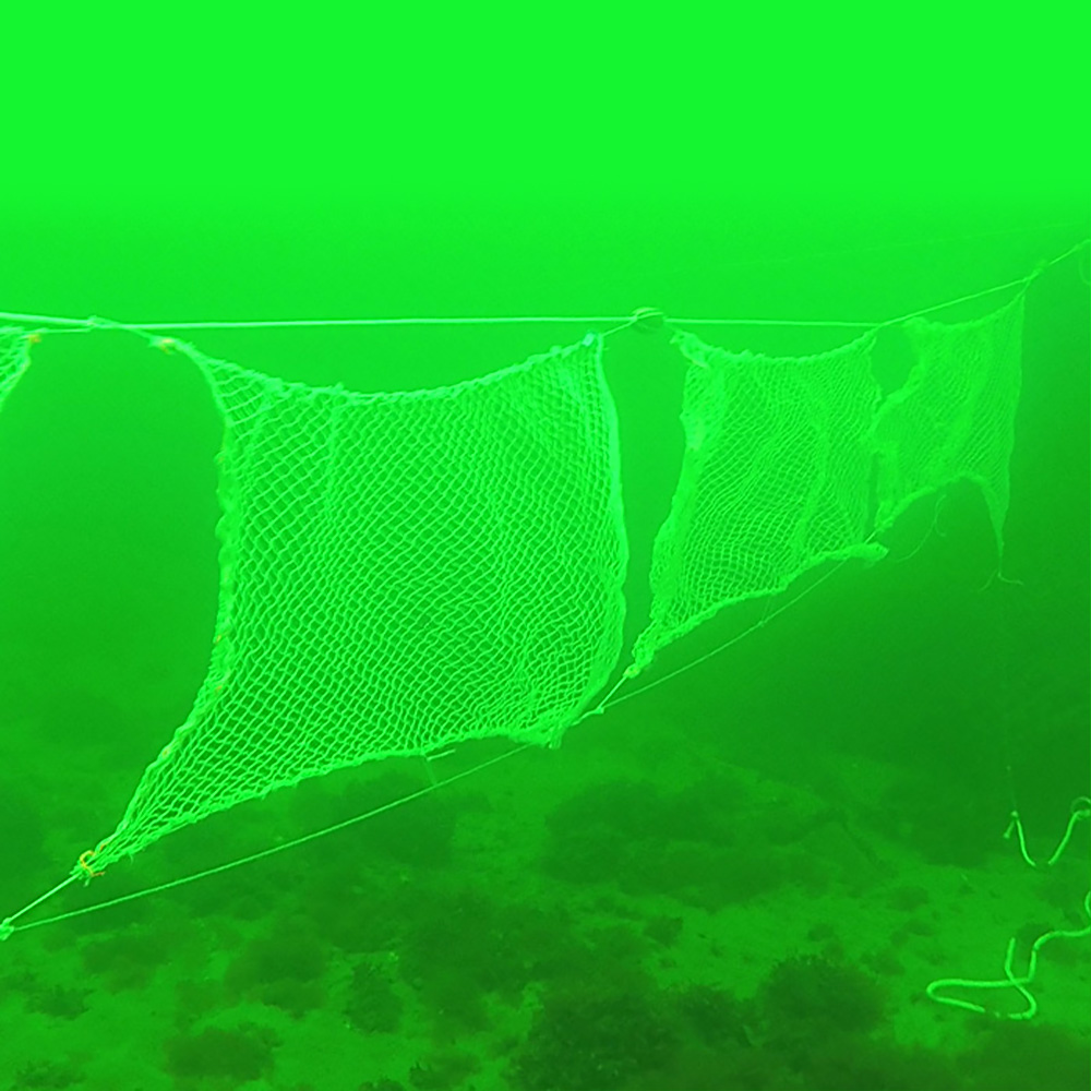 Fischernetze aus Lenzing Lyocellfasern reduzieren die Plastikverschmutzung der Meere erheblich. (Foto)